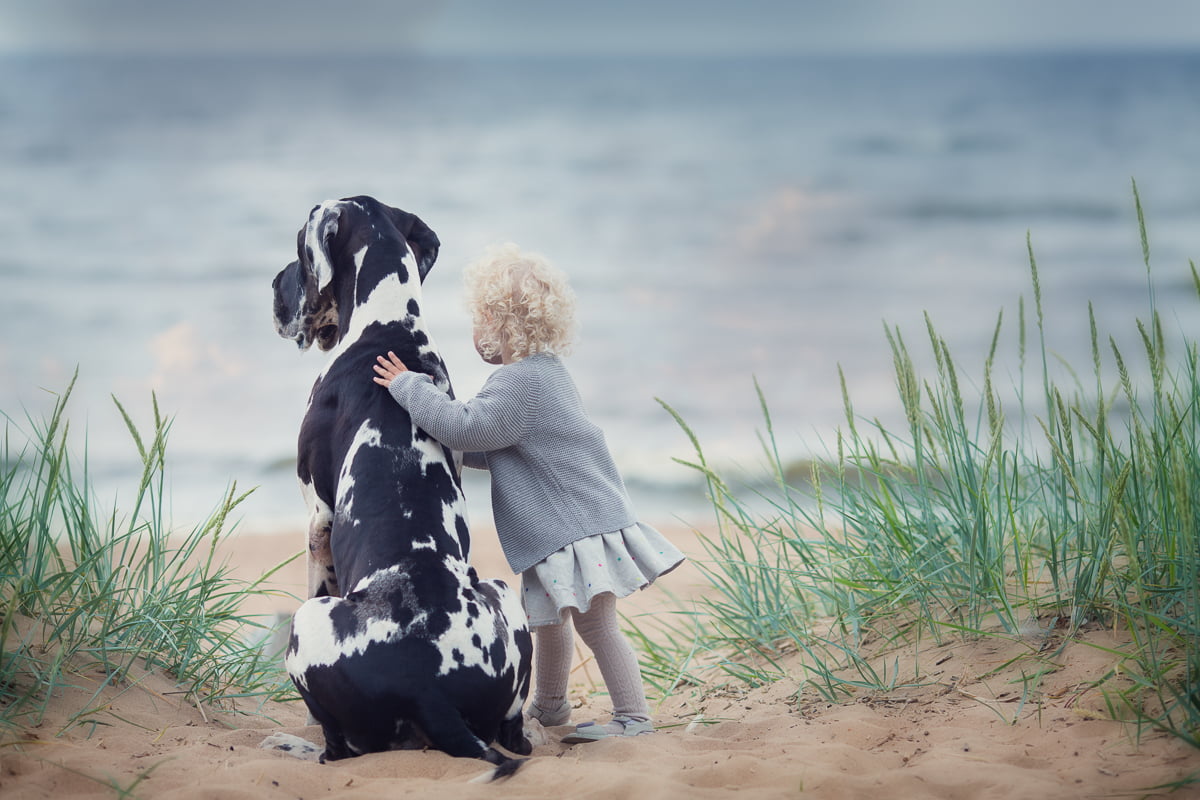 Little girl with dog at beach